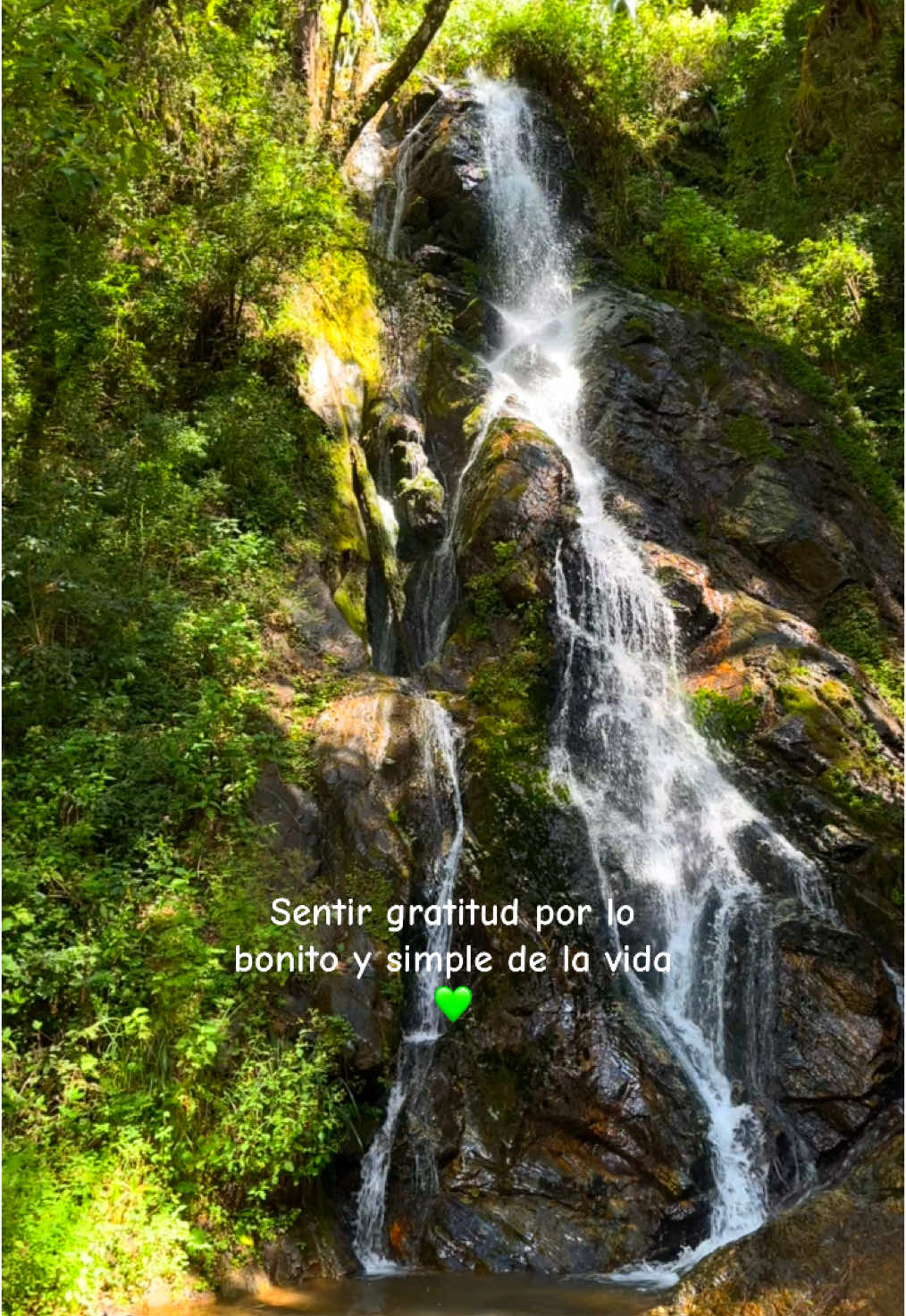 @YessiLara👷&zwj;♀️