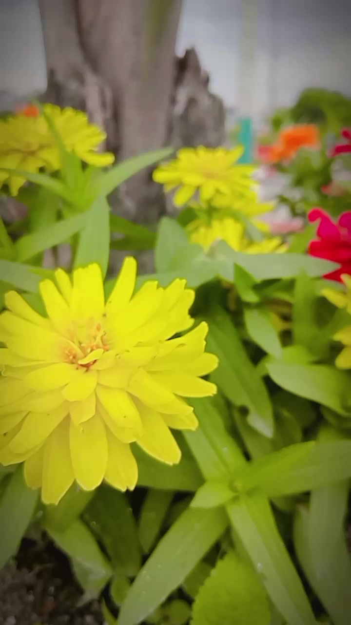 @𝖒𝖚𝖙𝖚........🕊️