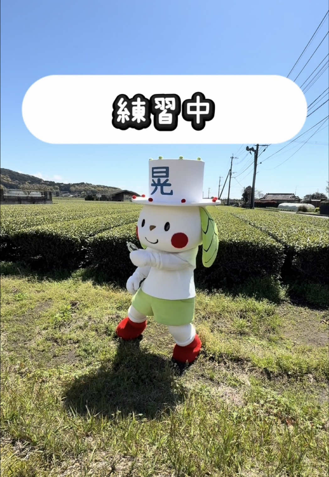 @お茶わんこはがねちゃん 堀口製茶PRキャラ