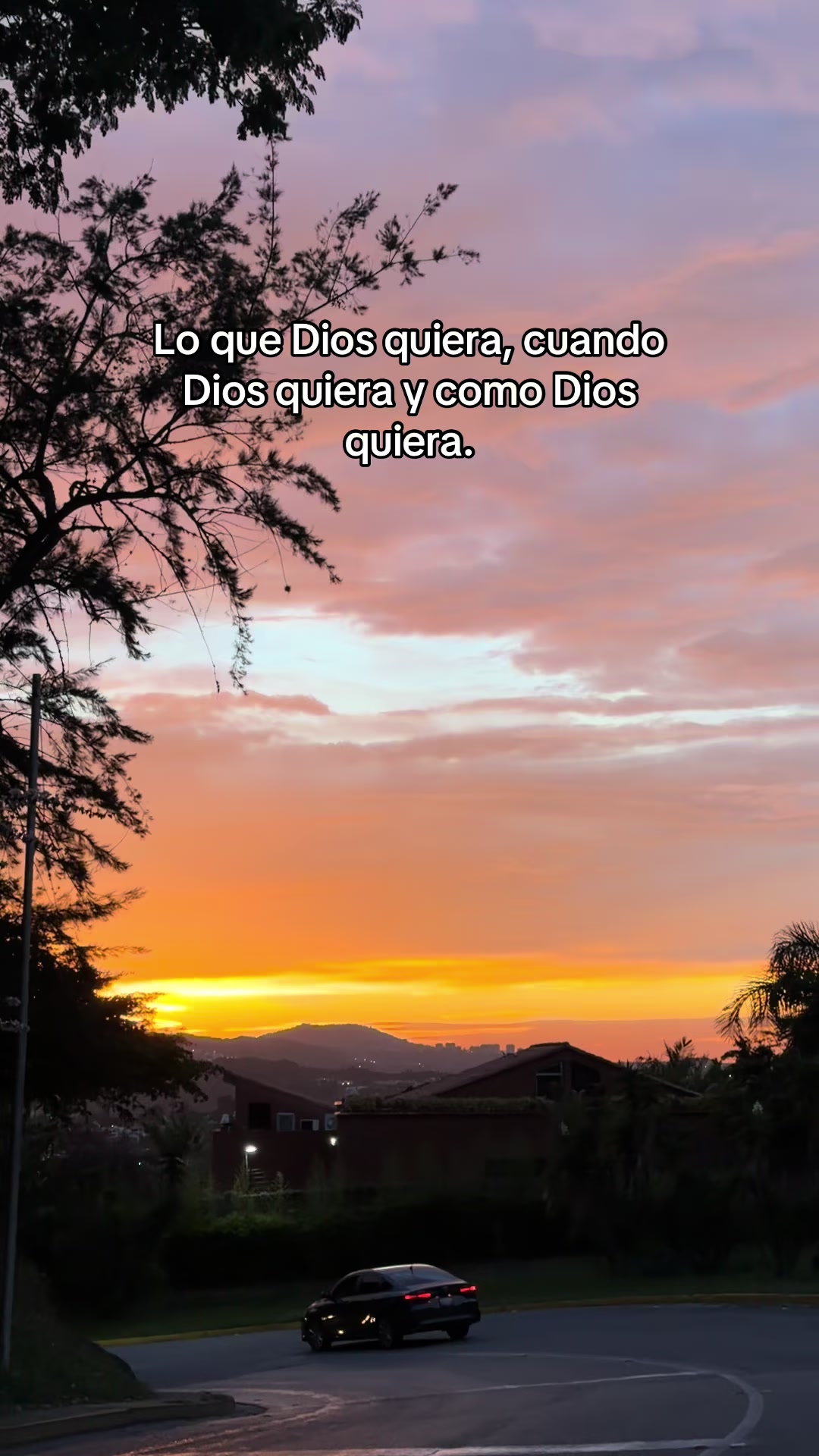 @LA PITU