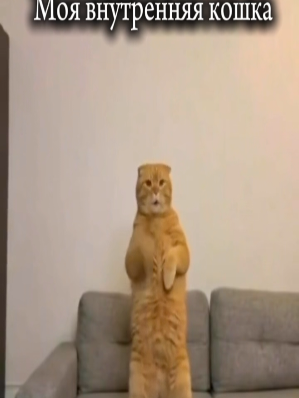 @Энджи