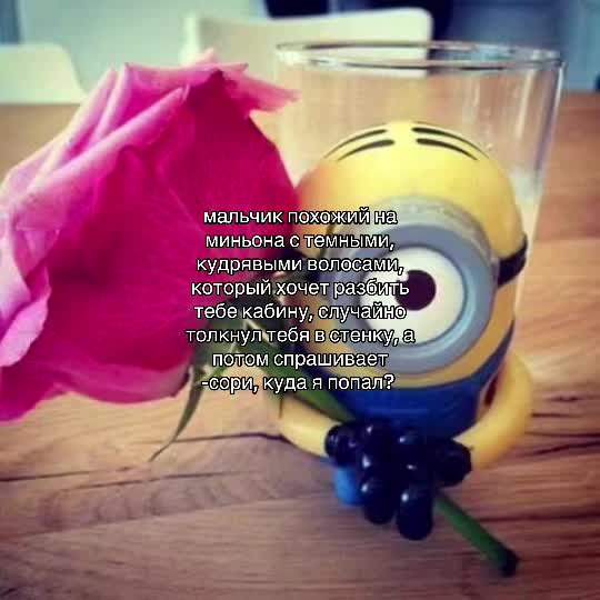 @socwmww