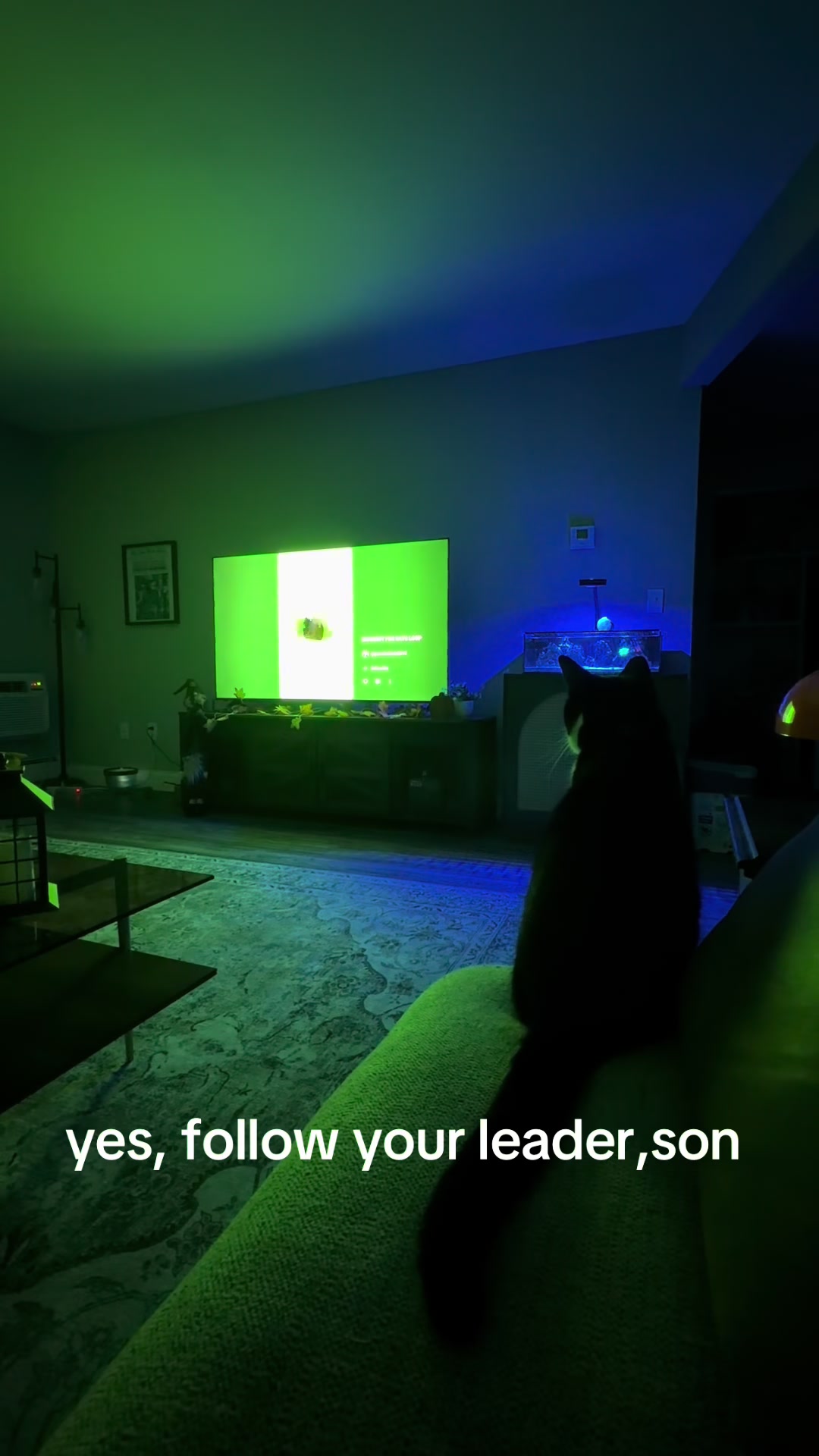 @olivia