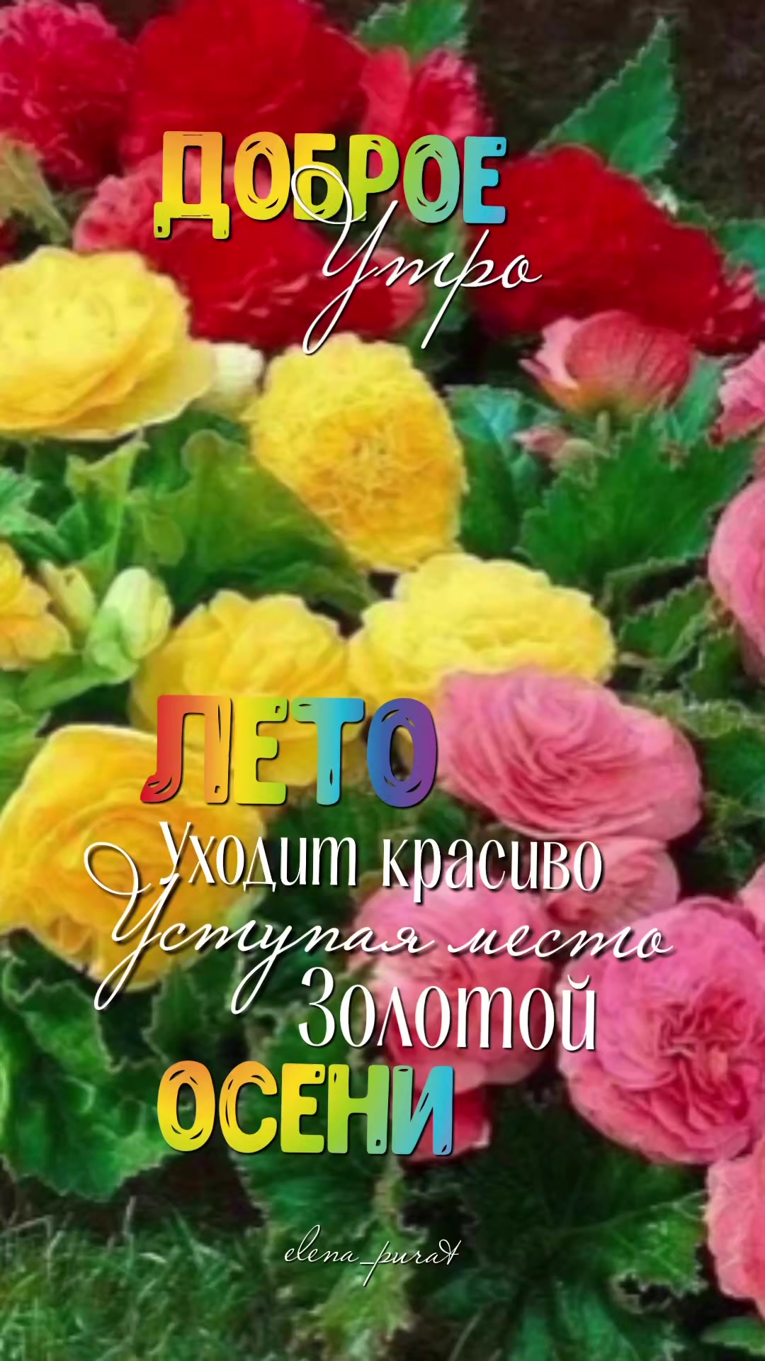 @olga