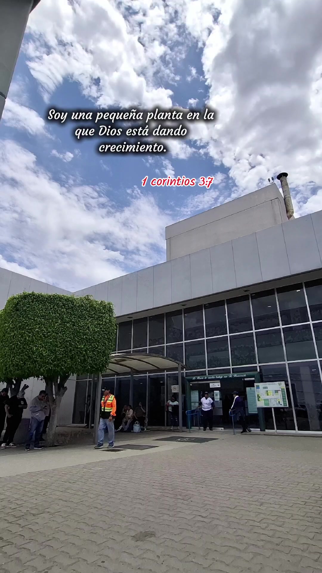 @🦋14♡🦋🍃