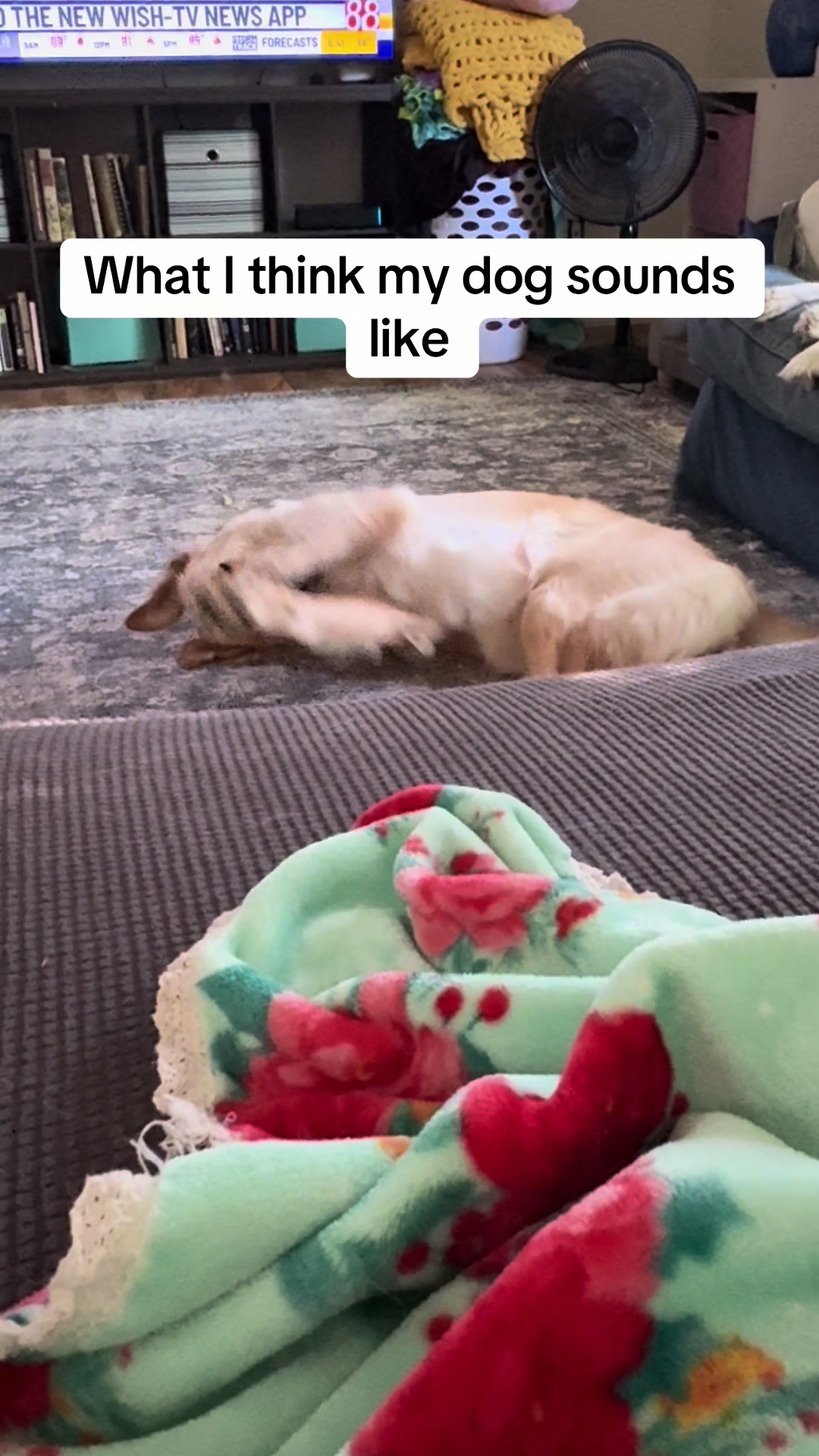 @Angela