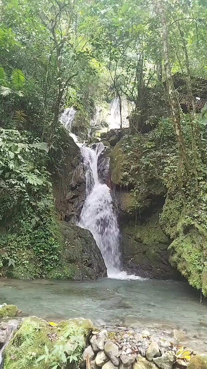 @filinho 23