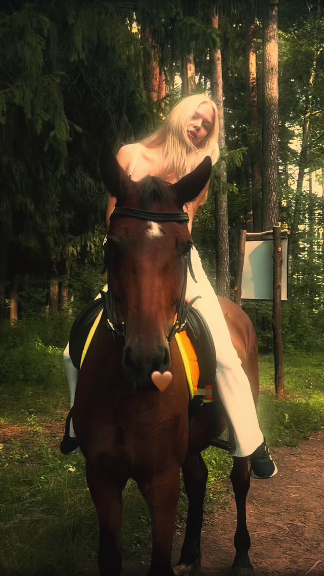 @тгк - a1ttpp