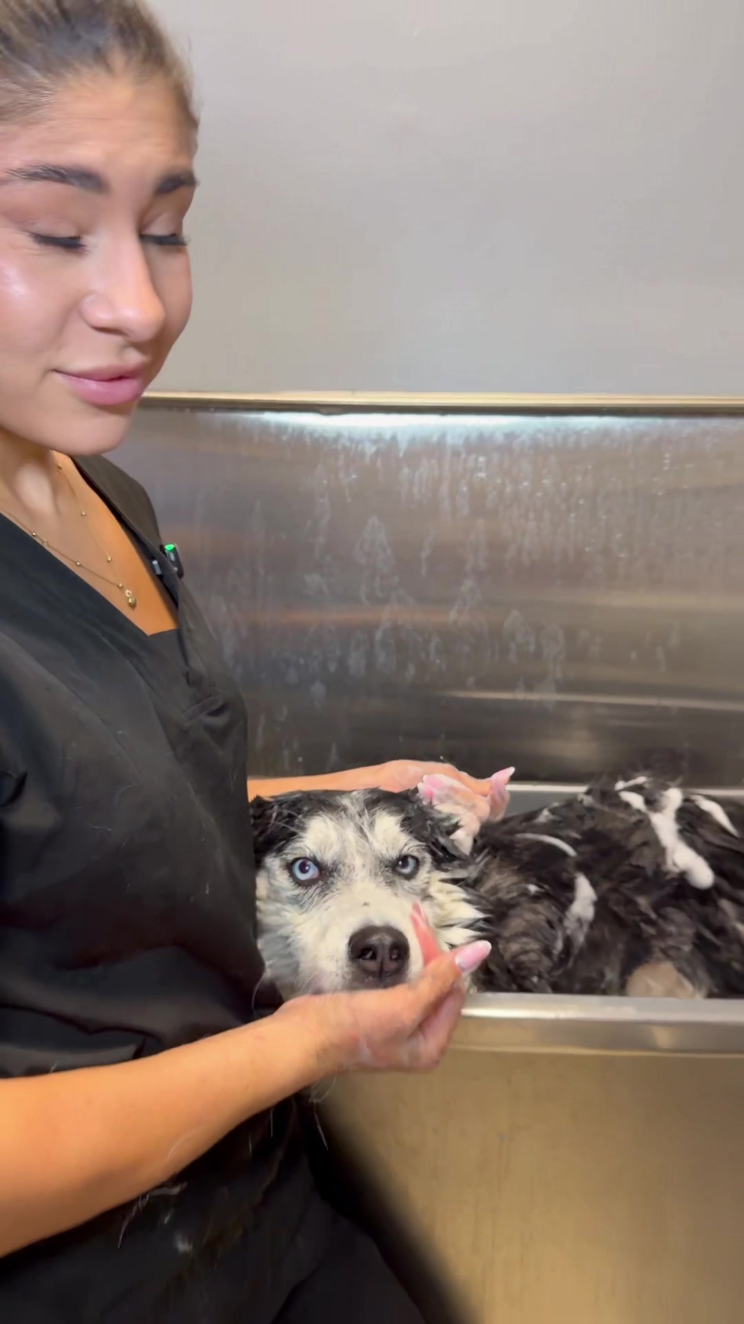 @PetGroomingExpert.md
