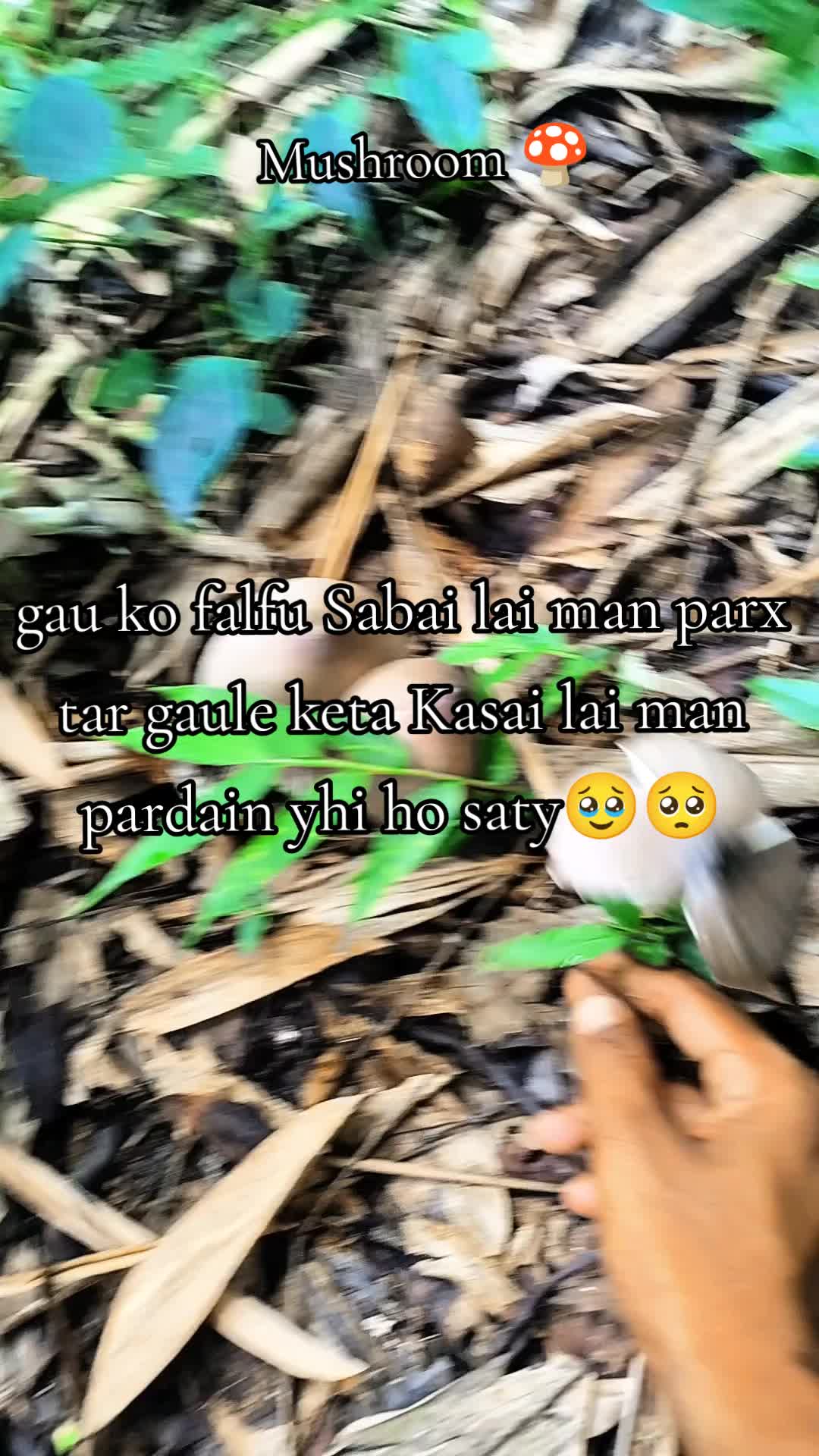 @🆈🆄🅱🆄🆃🅷🅴🅶🅾🅳🚭
