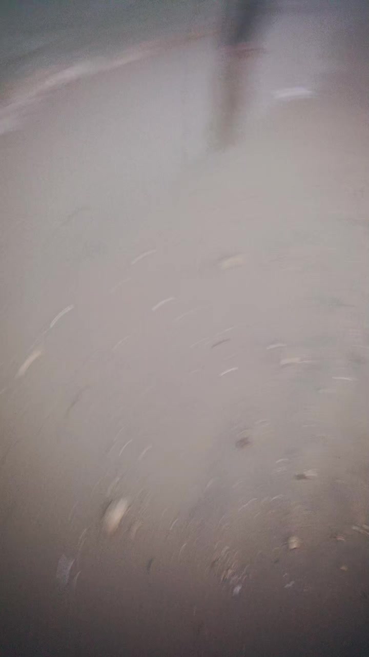 @तुल्सा मगर्नि
