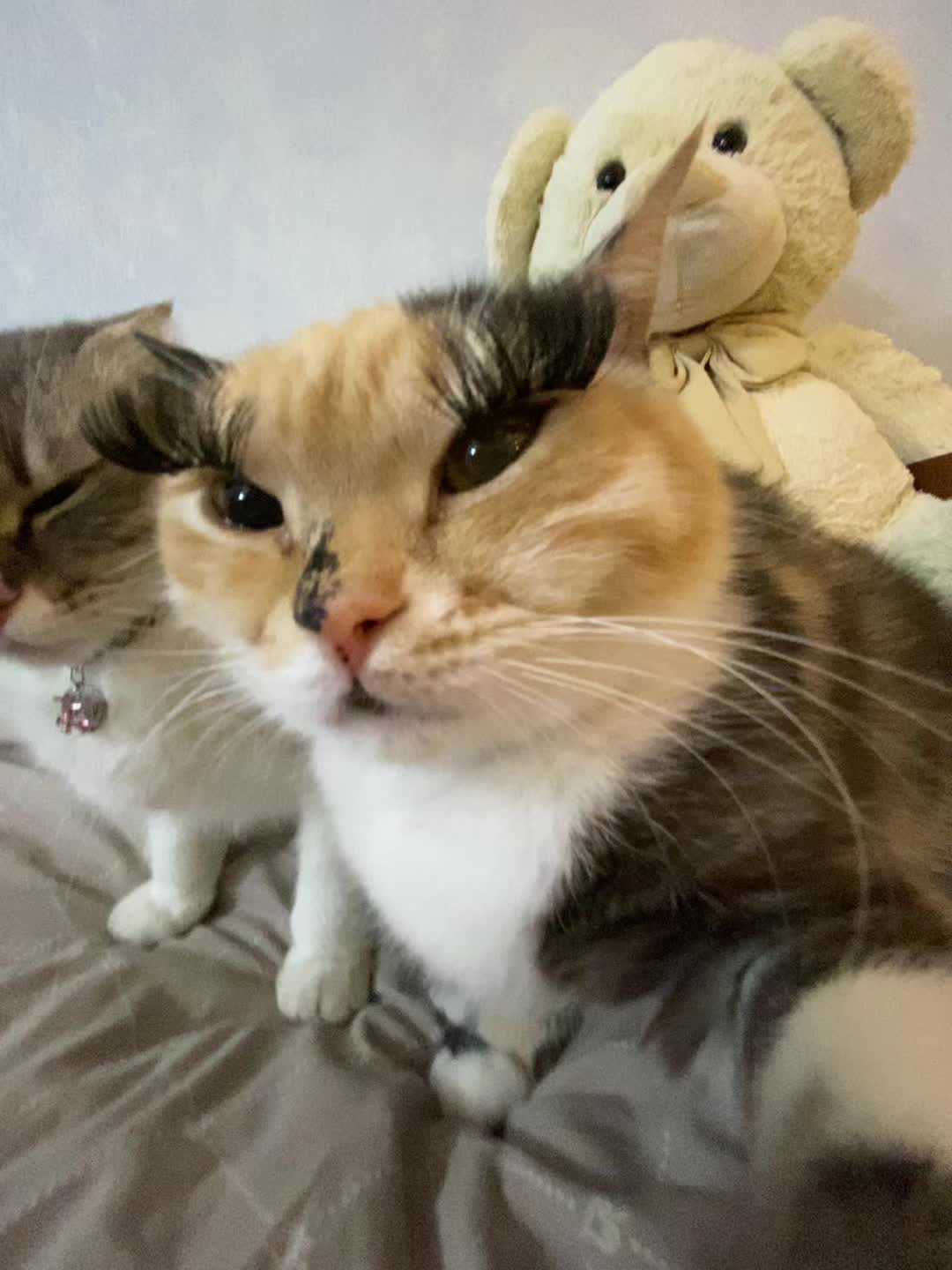 @Chloe 𝜗𝜚 Freya