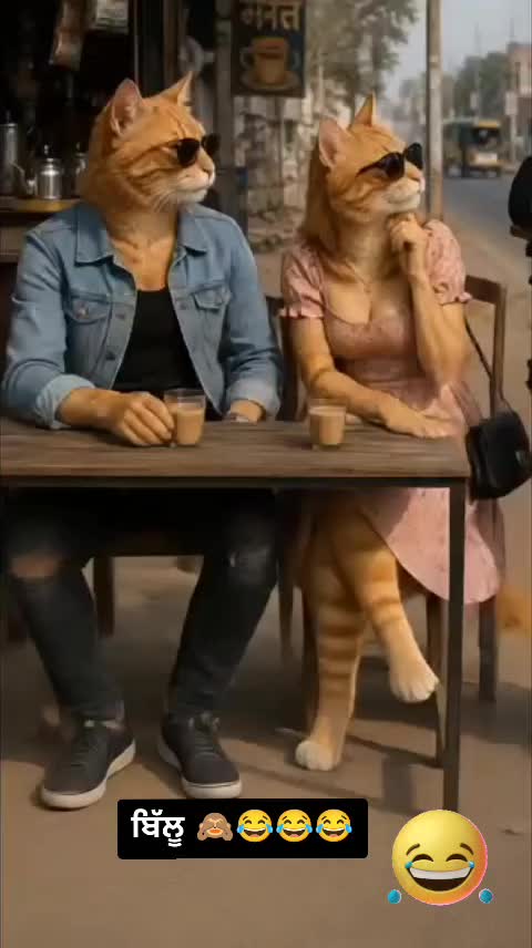 @𝐏𝐮𝐧𝐣𝐚𝐛𝐢 𝐒𝐭𝐚𝐭𝐮𝐬 ✍️