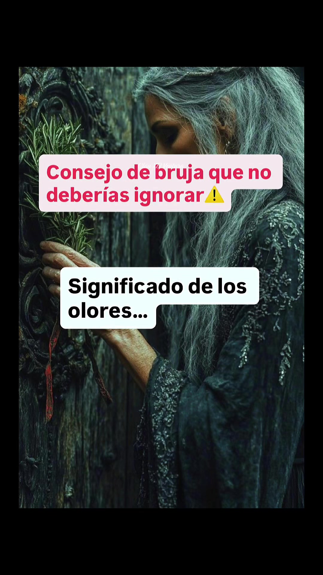 @Clau XD Ventura