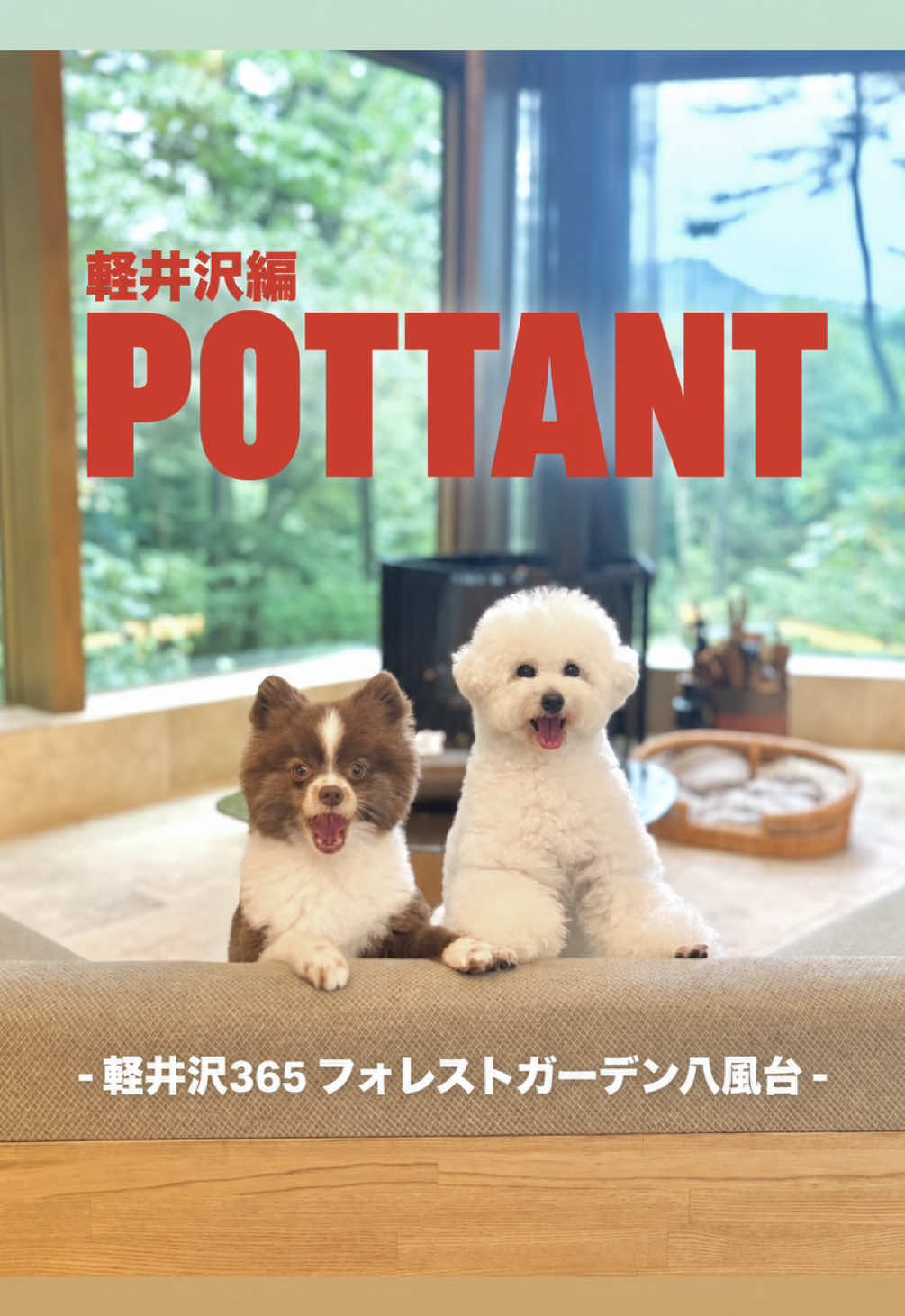 @ぽてたぬブラザーズ