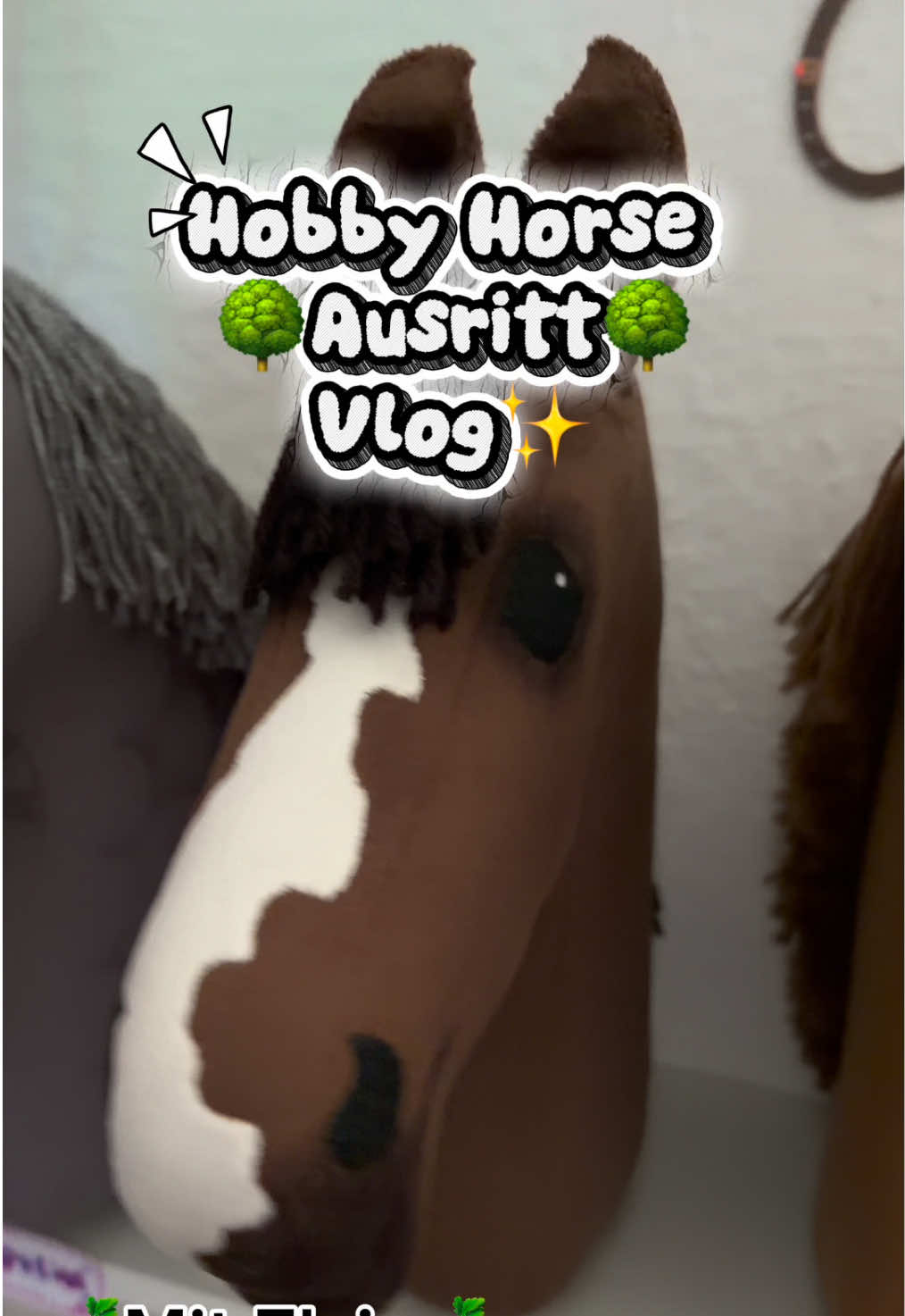 @kht_horselife