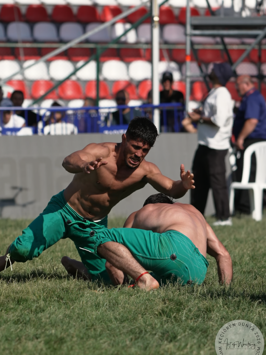 @Art Of Wrestling