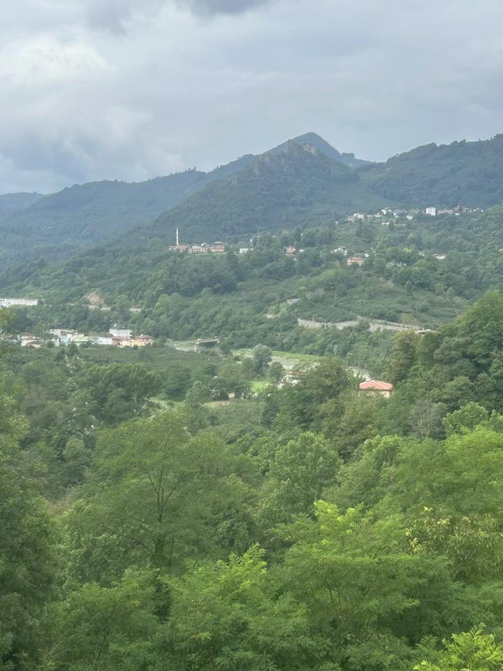 @Özcan Yıldız
