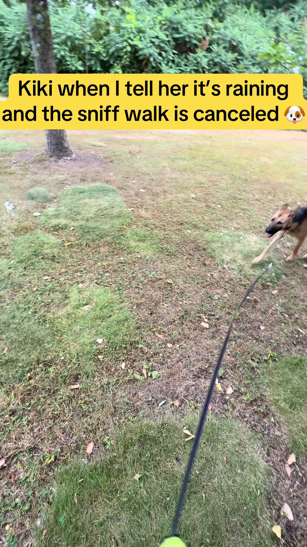 @Kiki.GSD
