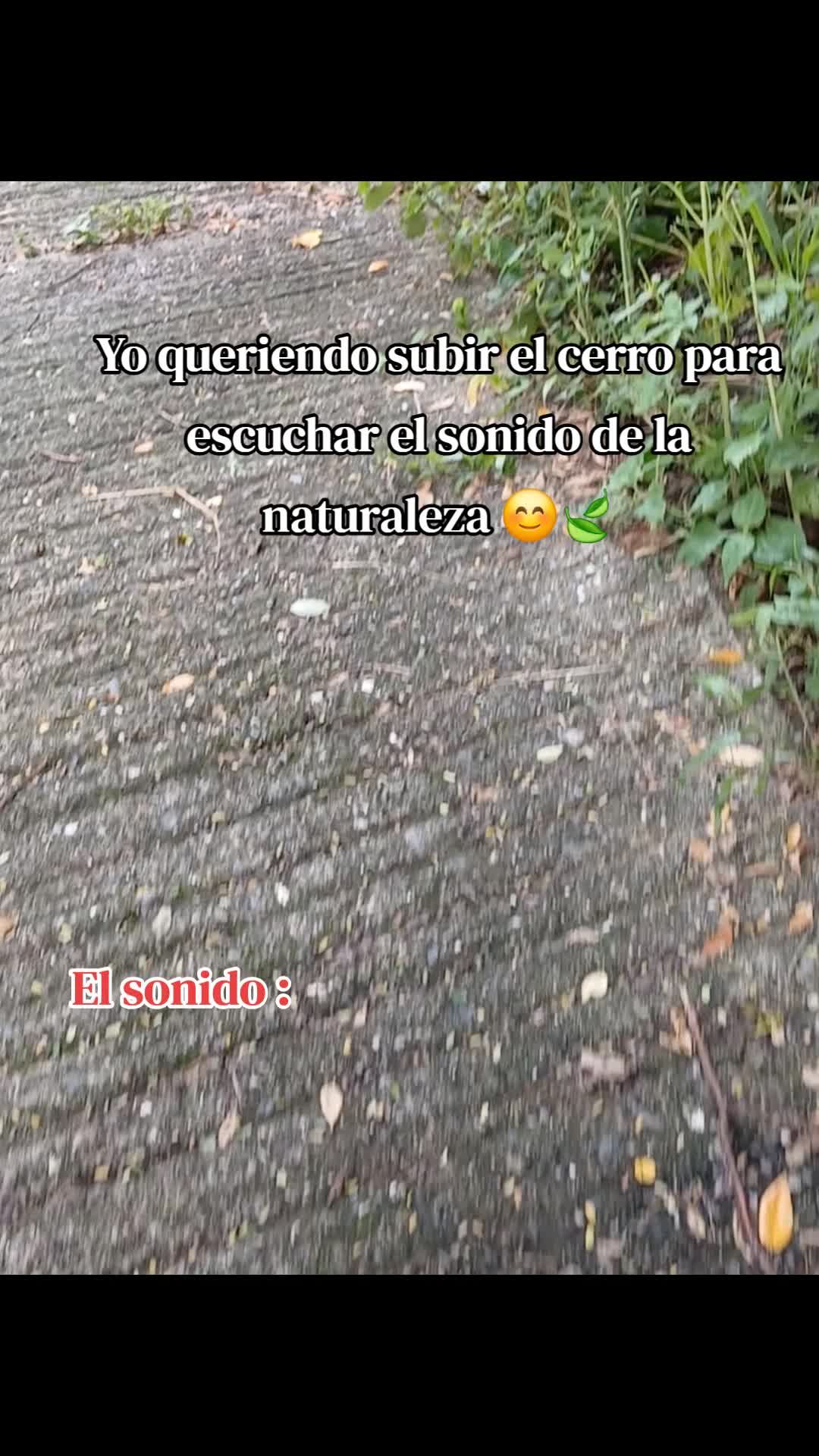 @Licda. Mileidy