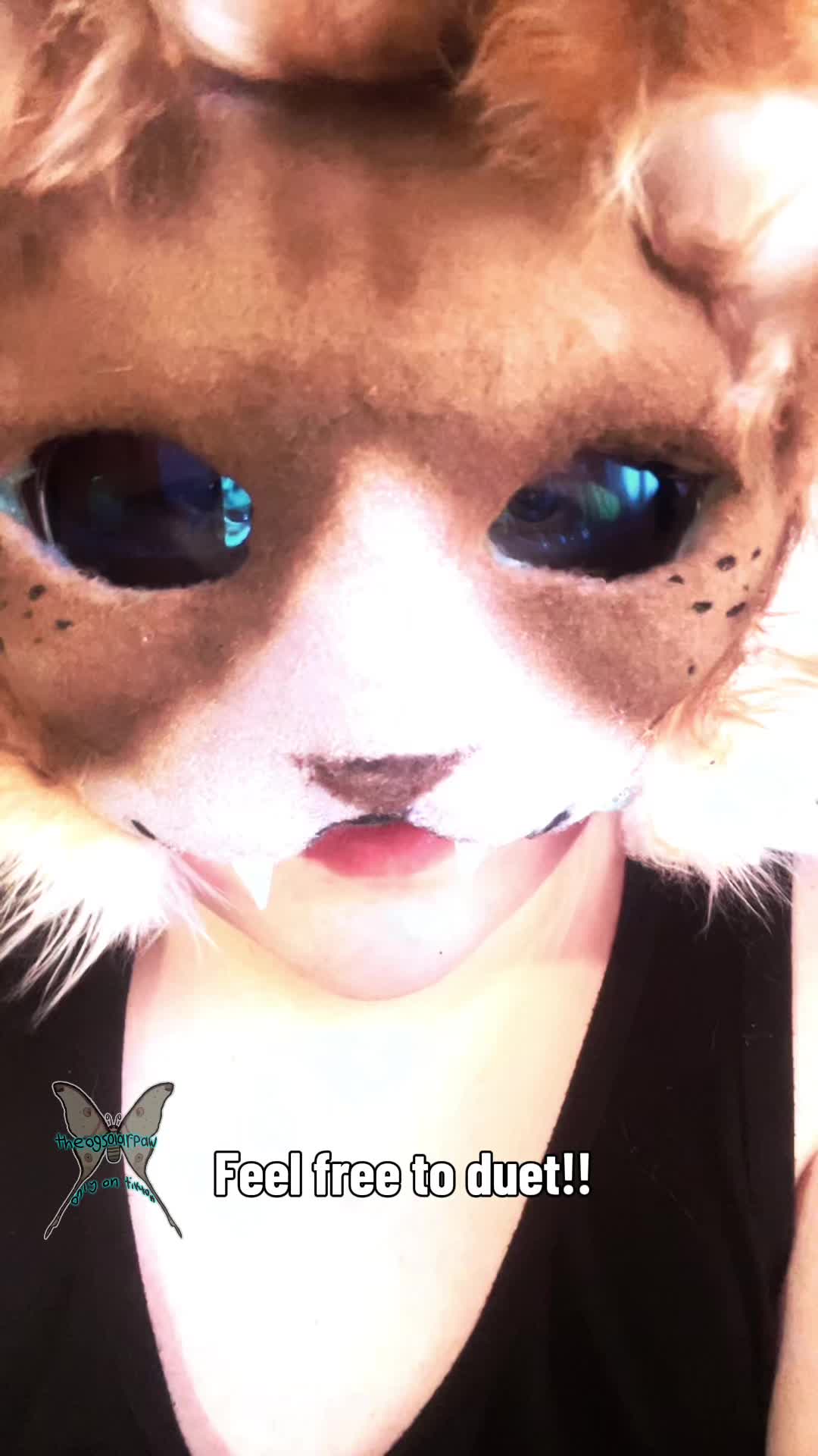@Solar’paw
