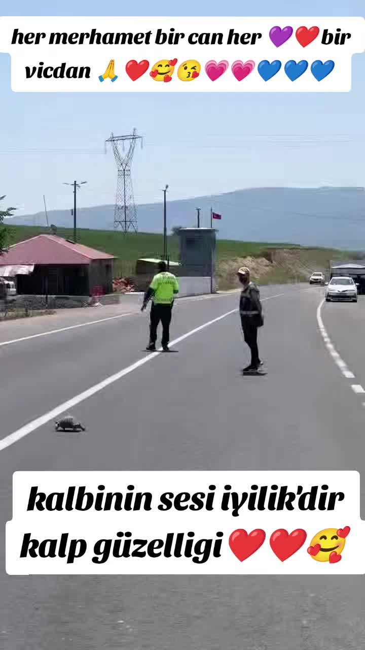 @⚖️CREATİVE_33⚖️