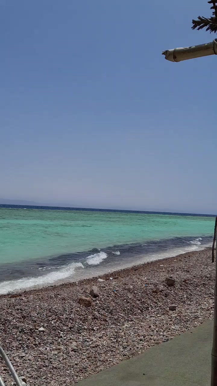 @ابو عودة المزيني ✈️🇪🇬