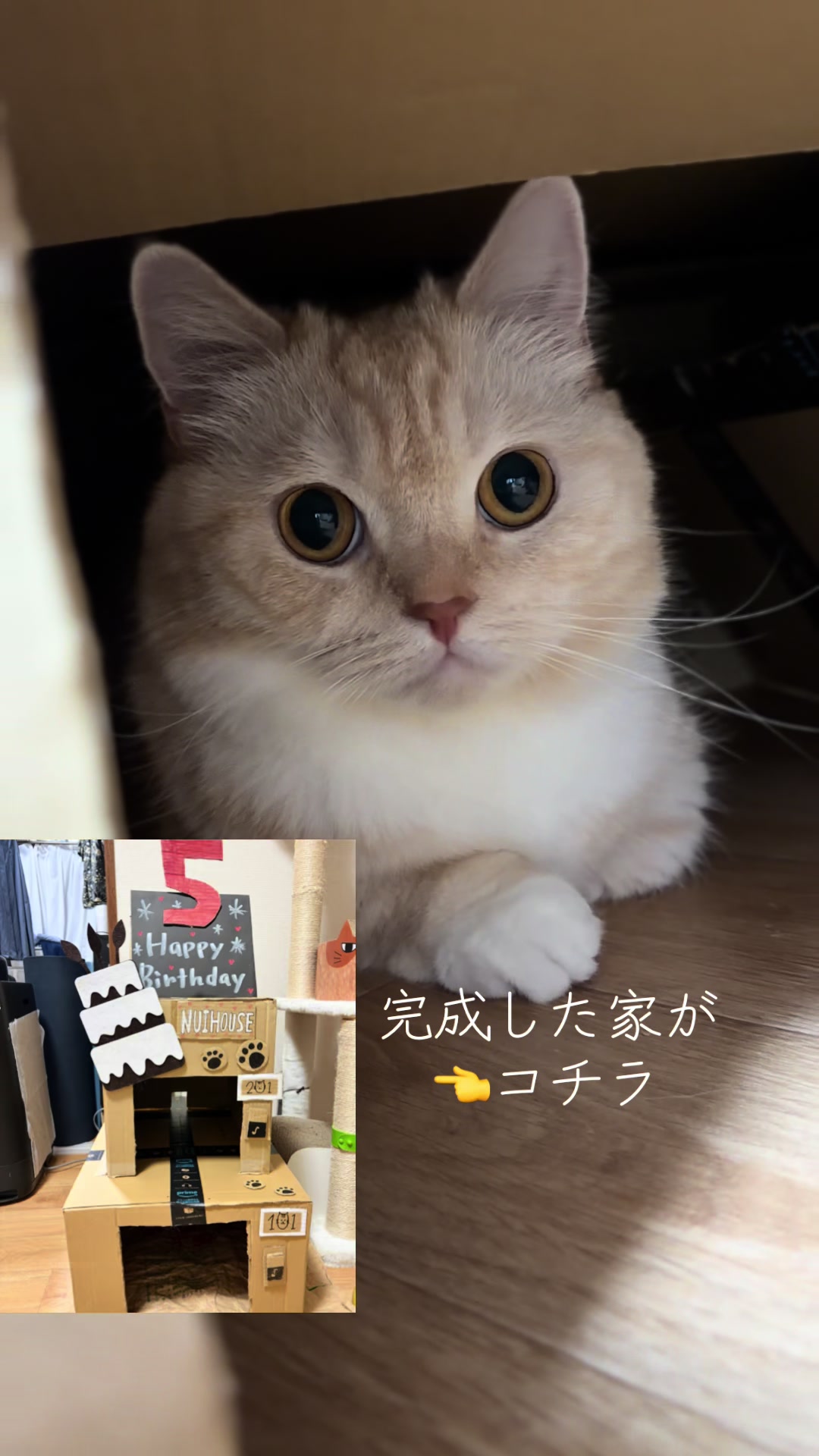 @縫くんと私
