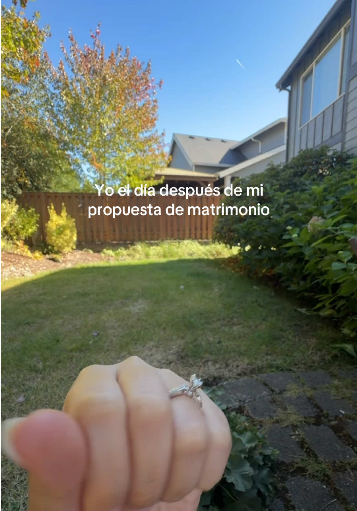 @Niki