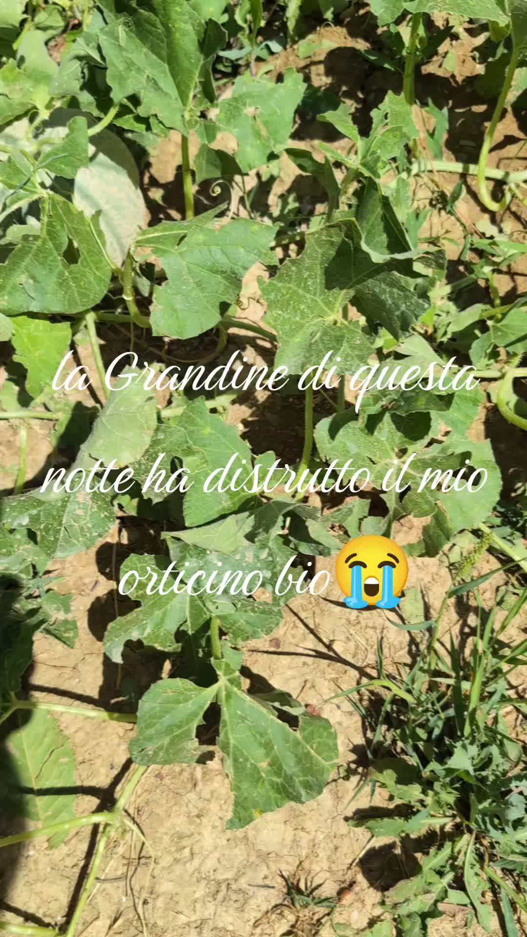 @Mari Dis