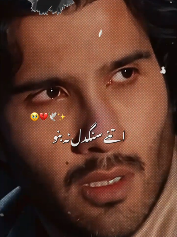 @Saeed Shah ❤️🔥