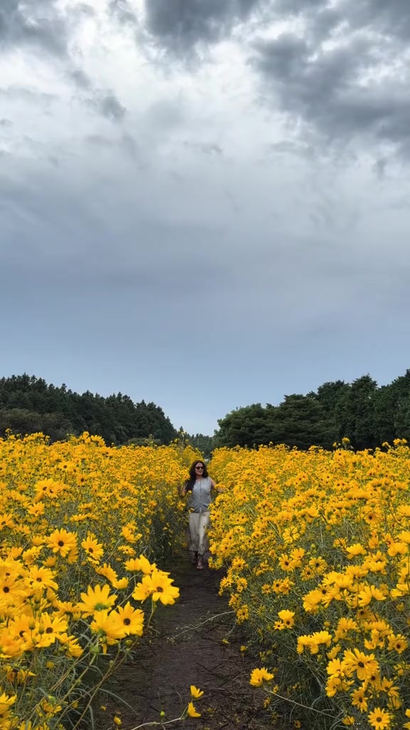 @vibewithnishaa