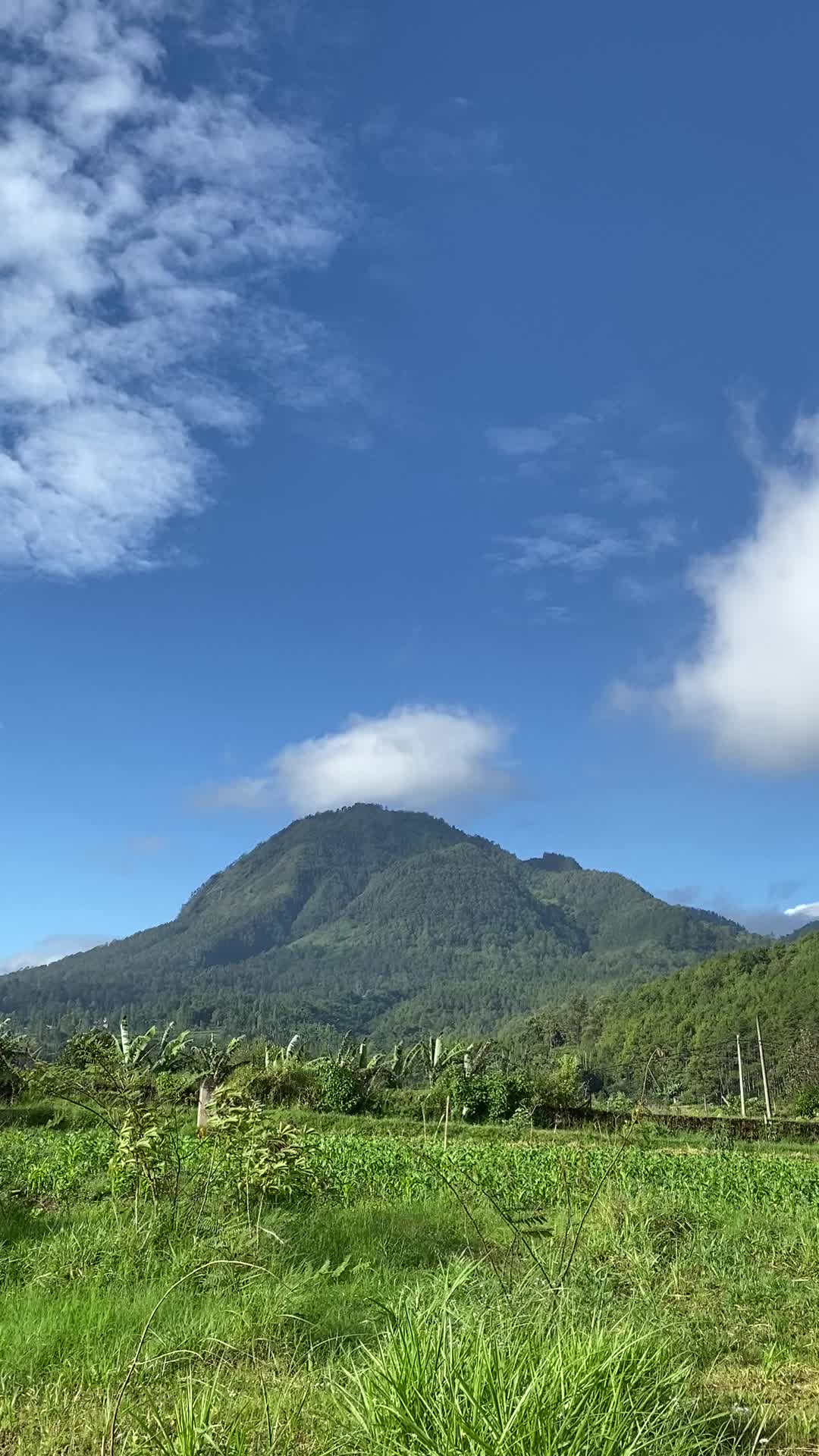 @erianggoro