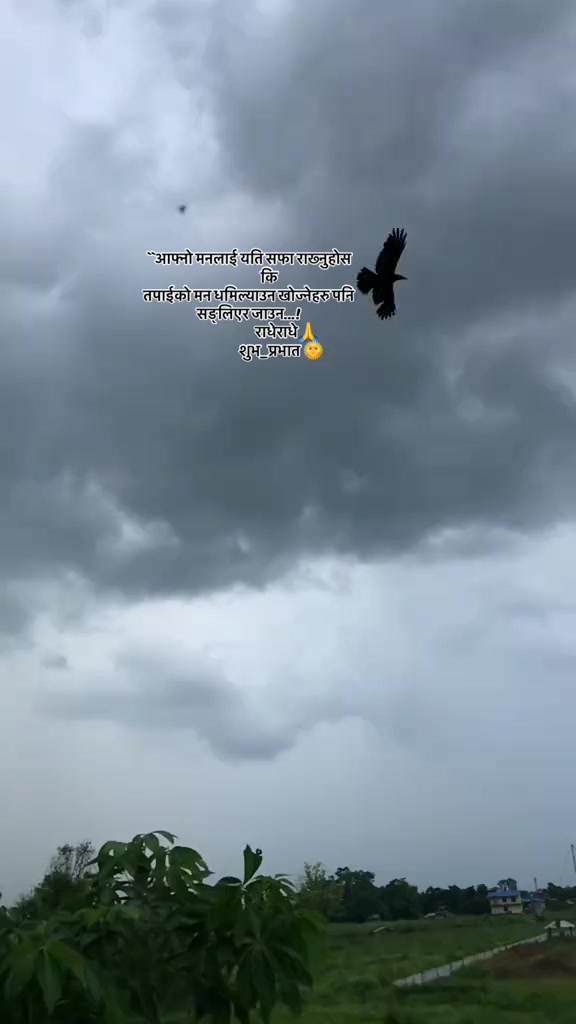 @Zero