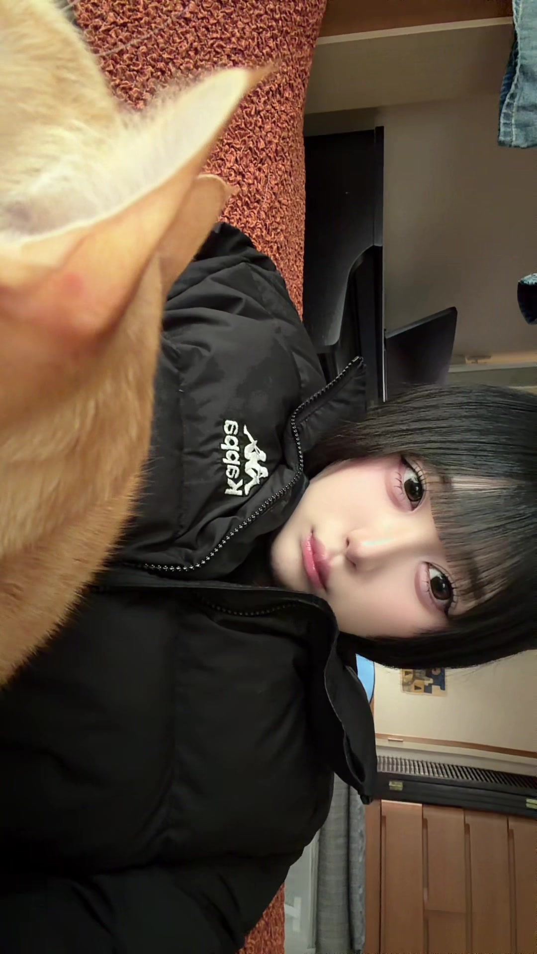 @葵