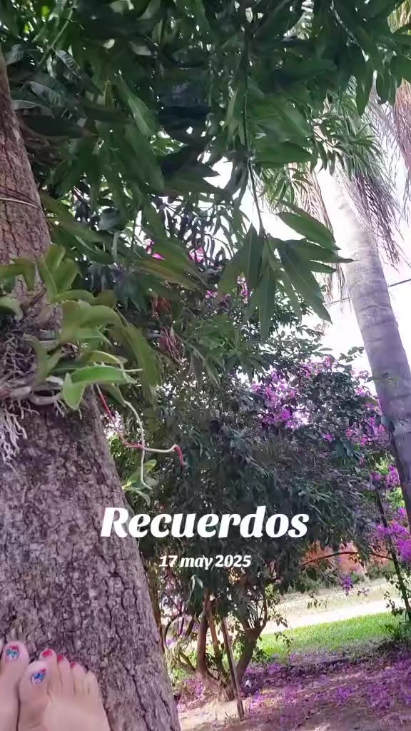 @Ana
