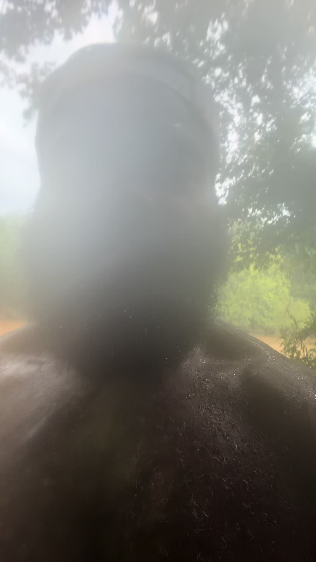 @DosOutdoors