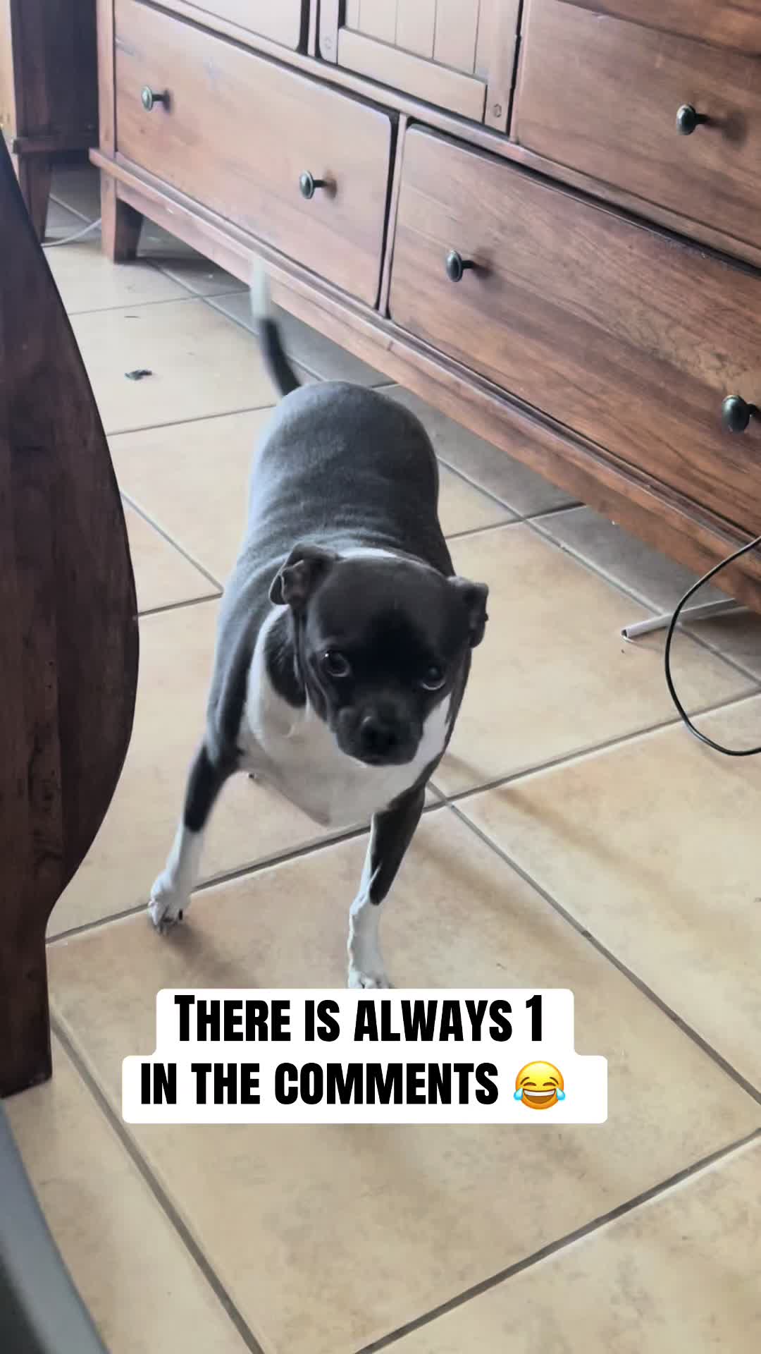 @ravioli.linguini