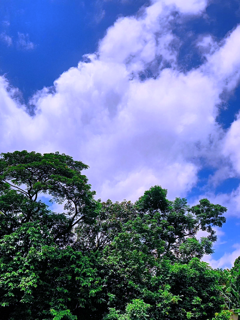 @🪺🦋বাংলার প্রকৃতি 🌾🌹