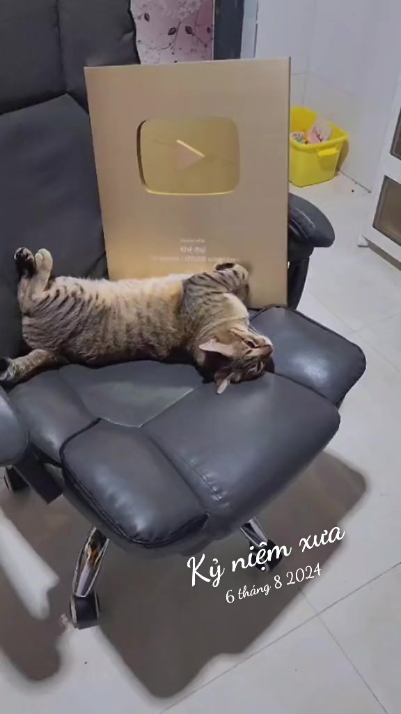 @Khế thúi