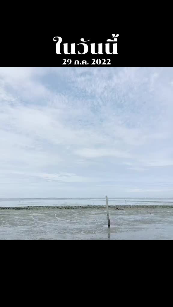 @user274206535