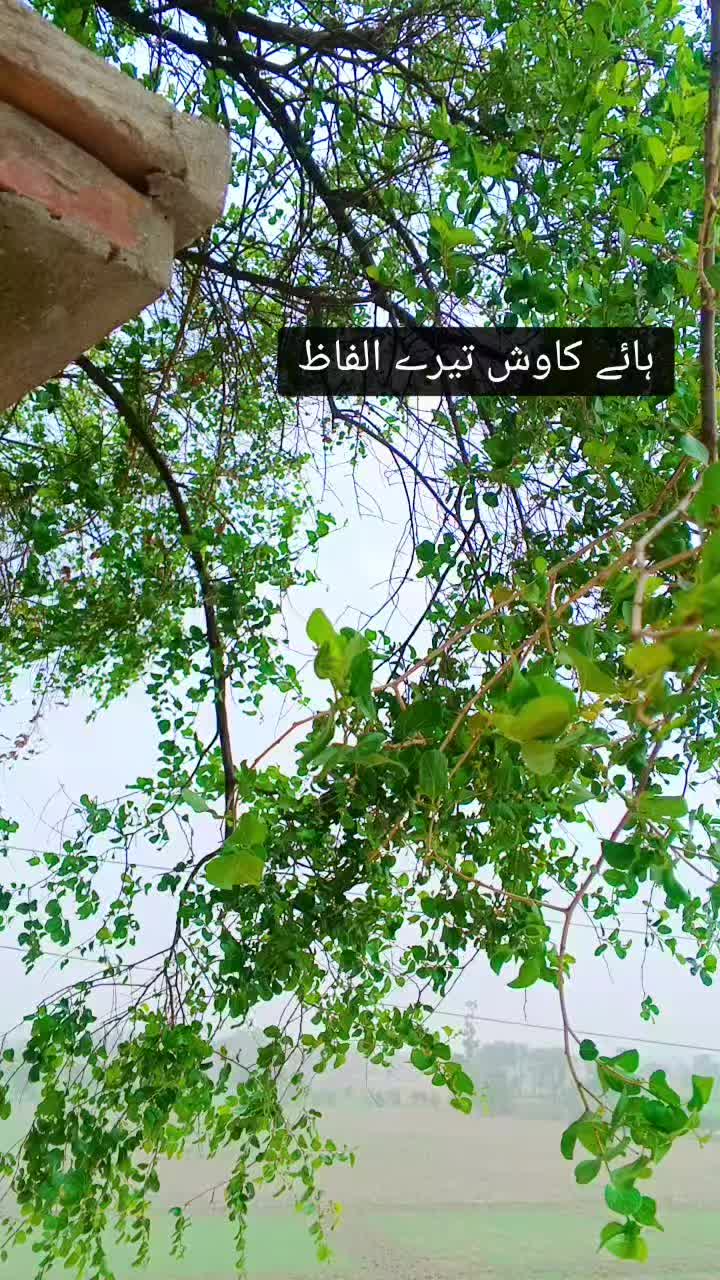 @mohsinraza