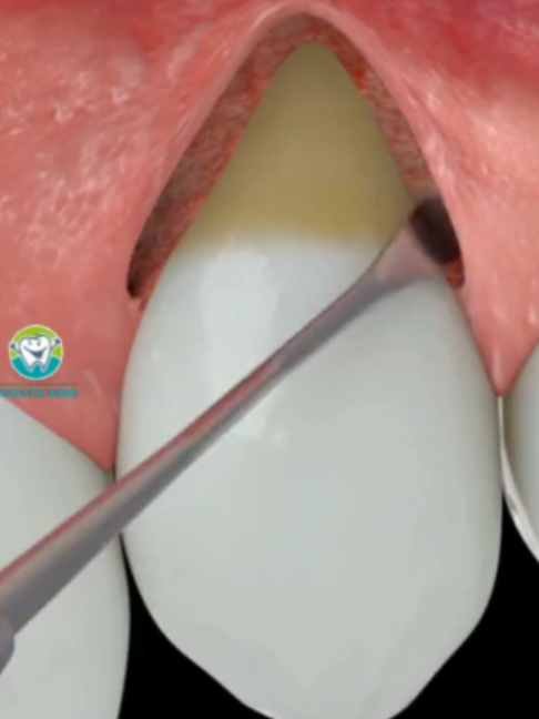 @Boquita sana - Odontolog&iacute;a