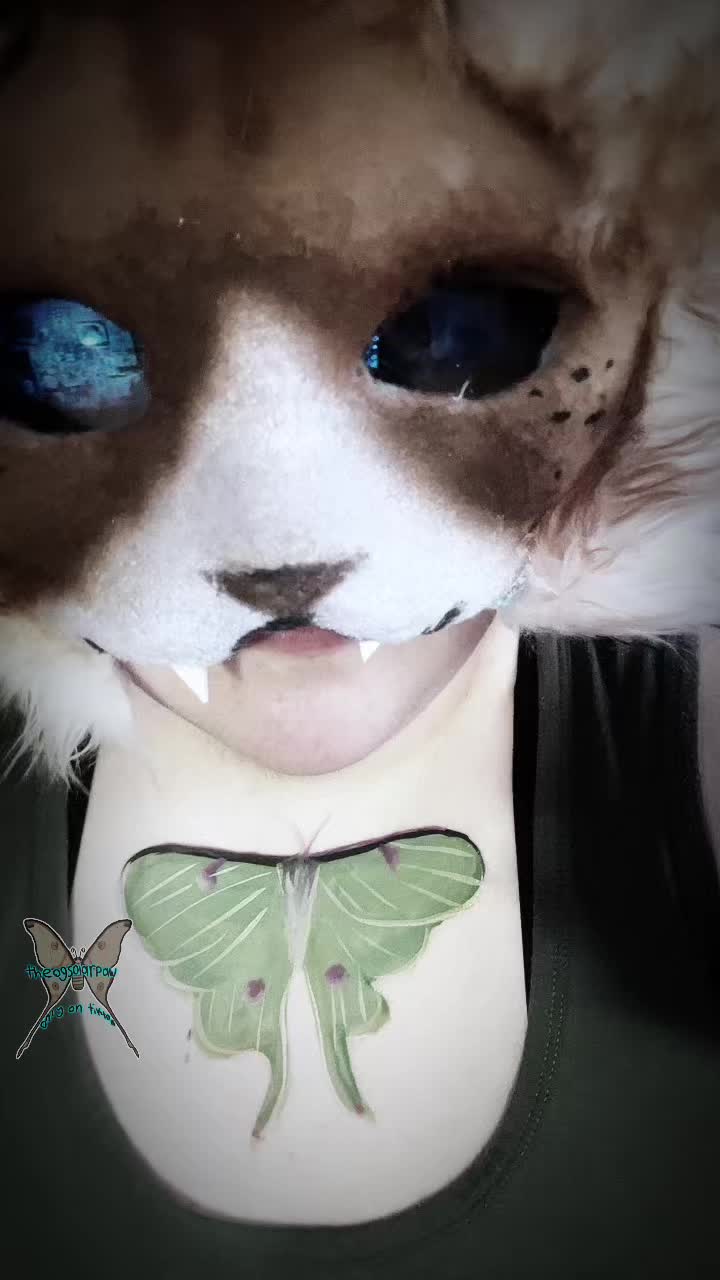 @Solar&rsquo;paw
