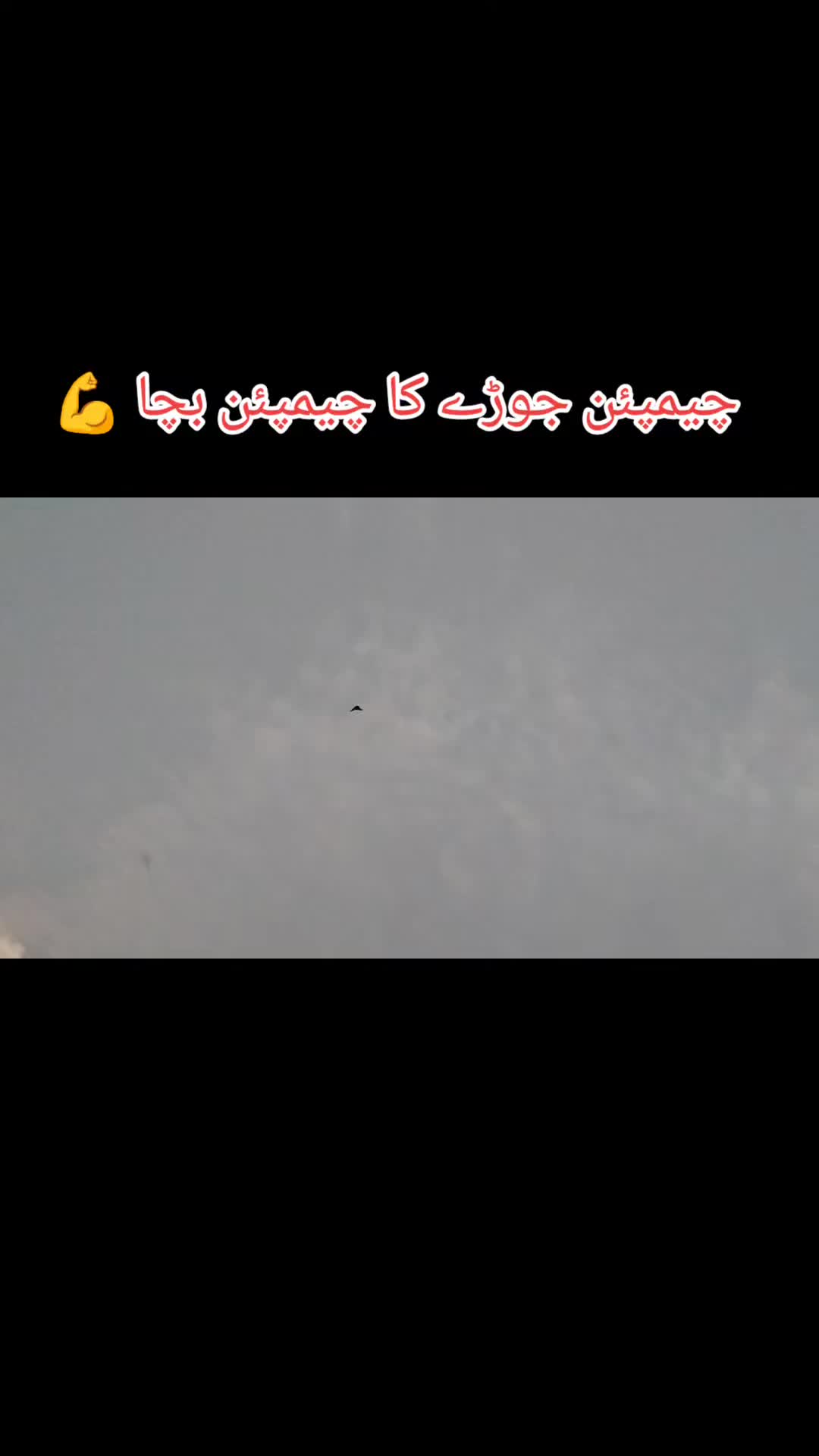 @Babar Pigeons Club
