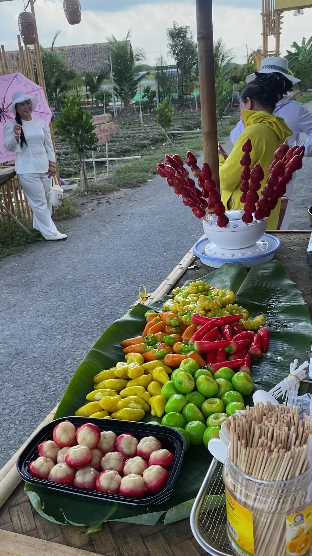 @B&iacute;ch Tr&acirc;m