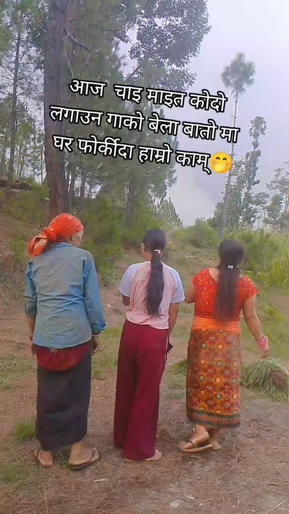 @Tulsi Xettri