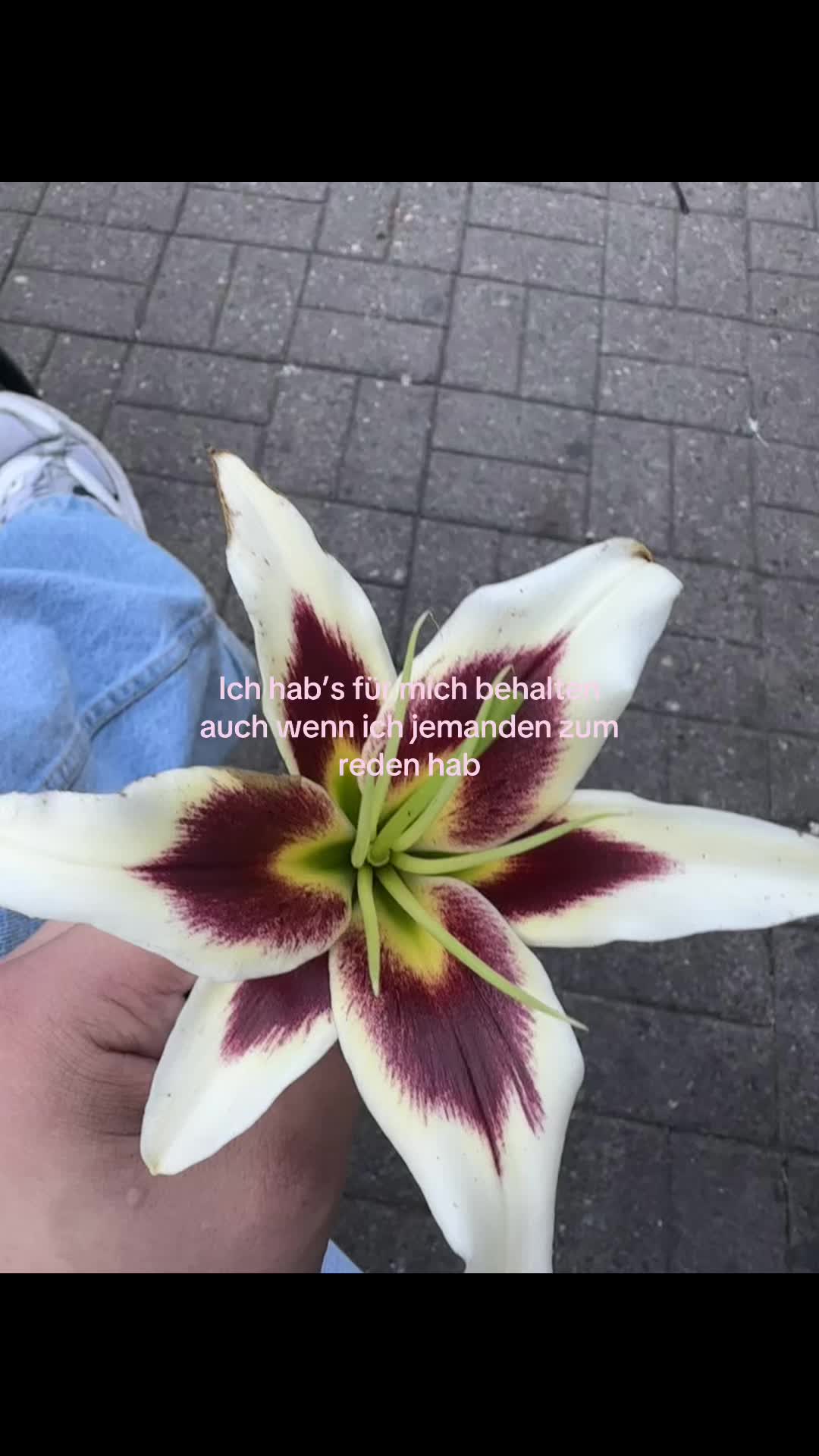 @spam.Mads