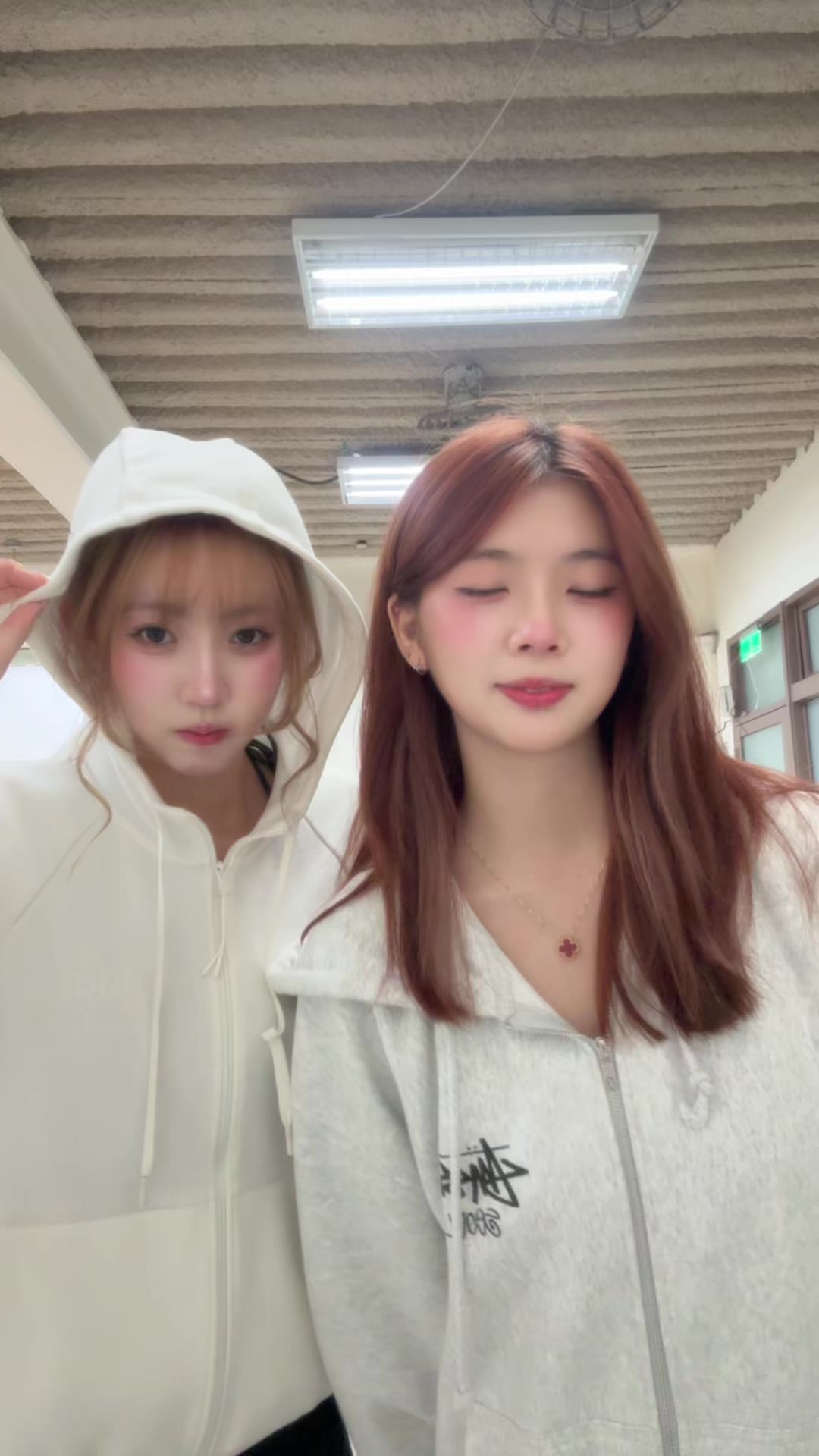 @采穎不是蒼蠅