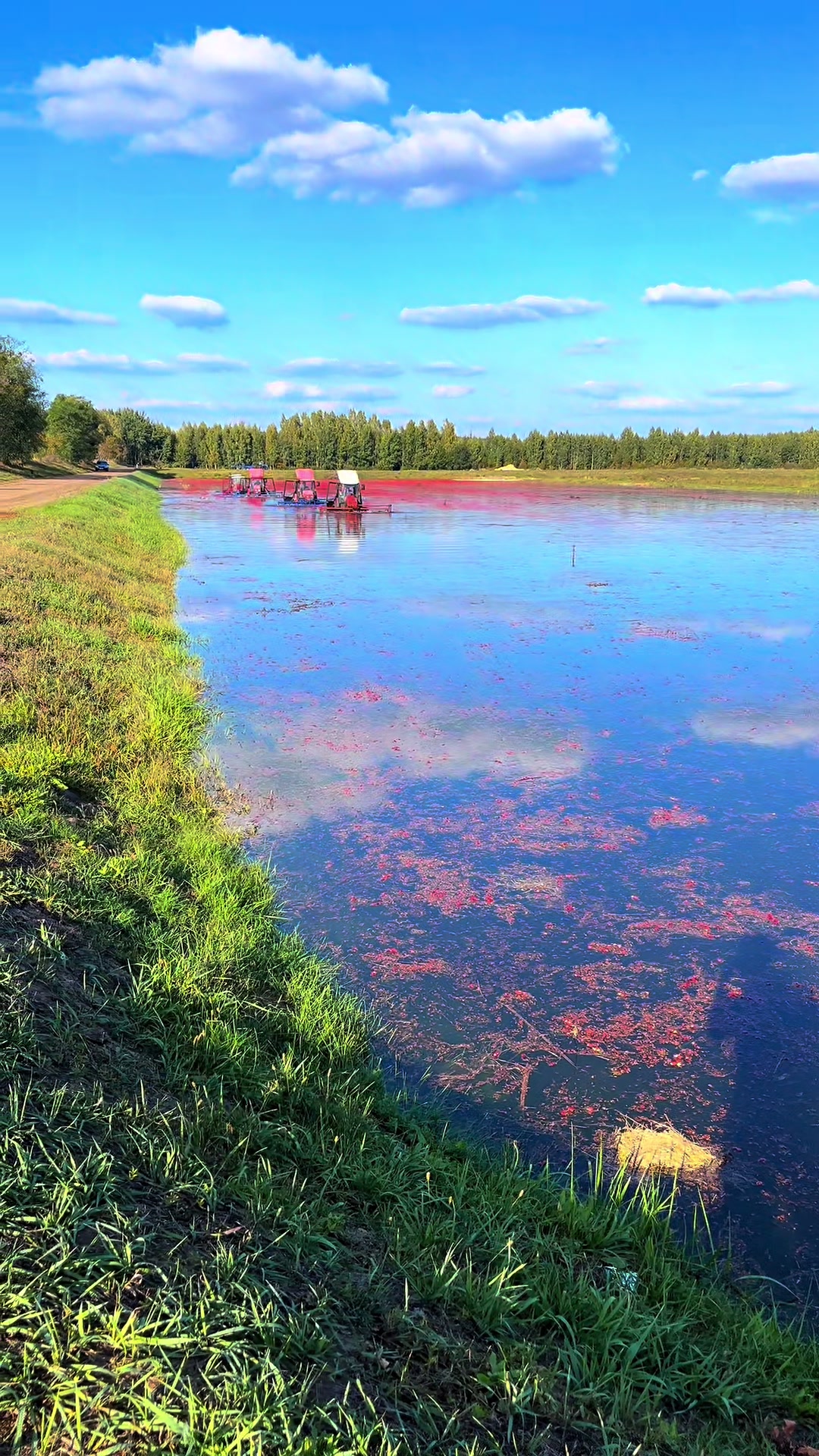 @Каленкович 🩵